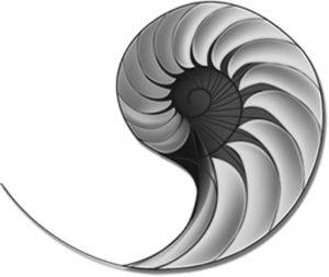 Why The Nautilus Shell?